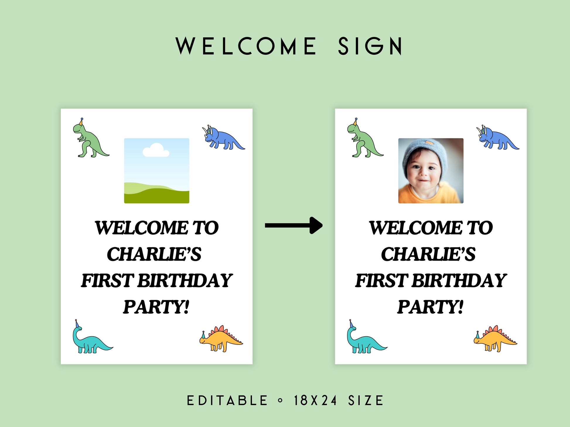 Dinosaur First Birthday Party Starter Set Simply Happy Paper